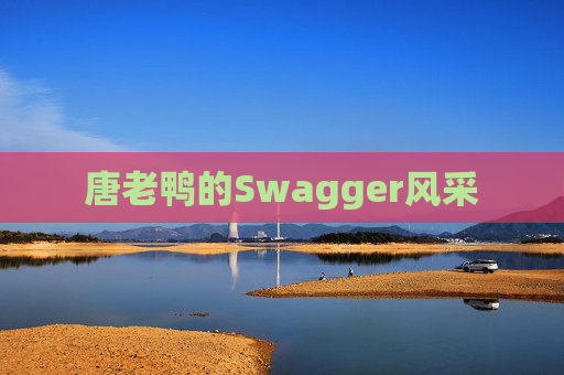 唐老鸭的Swagger风采